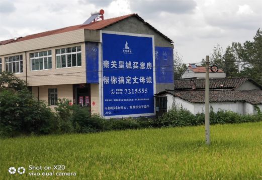 秭归决定墙体广告价格的因素有哪些?